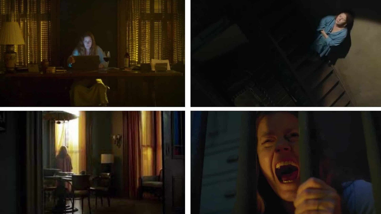 Analisi-linguaggio-simbolico-visivo-la-casa-film-la-donna-alla-finestra-Netflix-blog-il-Biondino-della-Spider-Rossa-ProsMedia-Agenzia-Corte&Media-Crimine-Giustizia-Media